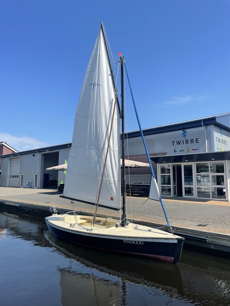 Te koop: Polyvalk 'Pinokkio' (ter bemiddeling)
